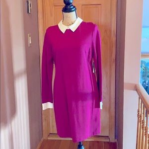 Cynthia Steffens- Purple Long Sleeve Dress with White Collar - size 8